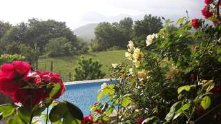 Апартаменты Apartment Rustic House Radovici Петровац Апартаменты-33