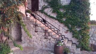 Апартаменты Apartment Rustic House Radovici Петровац Апартаменты-63