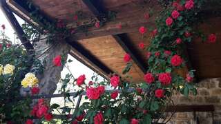 Апартаменты Apartment Rustic House Radovici Петровац Апартаменты-86